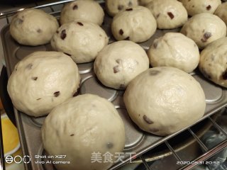 蔓越莓啤酒面包的做法步骤：9