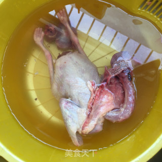 绿豆鸽子汤的做法步骤：2