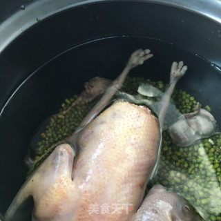 绿豆鸽子汤的做法步骤：7