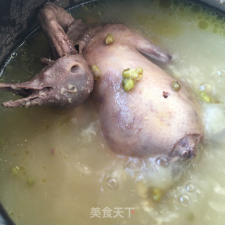 绿豆鸽子汤的做法步骤：8