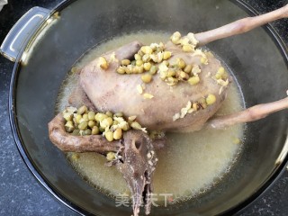 绿豆鸽子汤的做法步骤：9