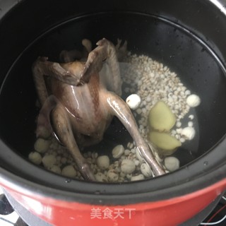 薏米莲子鸽子汤的做法步骤：8