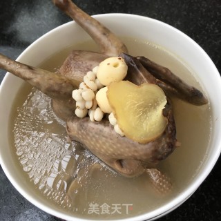 薏米莲子鸽子汤的做法步骤：10