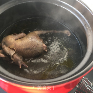 菜心鸽子汤的做法步骤：12