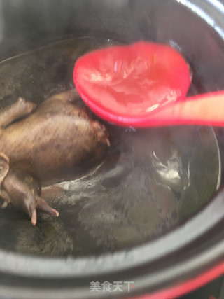 菜心鸽子汤的做法步骤：14