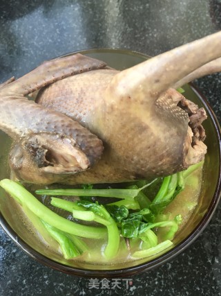 菜心鸽子汤的做法步骤：17
