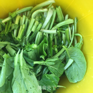 番茄菜心肥牛的做法步骤：2