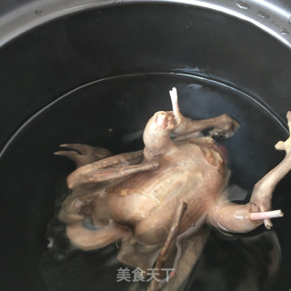 虫草花鸽子汤的做法步骤：4