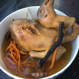 虫草花鸽子汤的做法步骤：9