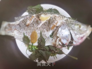 紫苏蒸鱼的做法步骤：3