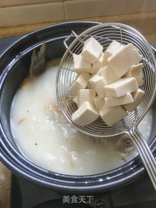 通草鲫鱼豆腐汤的做法步骤：14