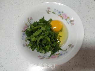 荆芥煎饼的做法步骤：3