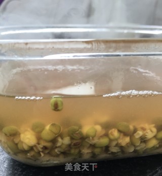 冰镇绿豆汤的做法步骤：10