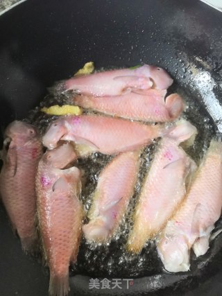 香煎马头鱼的做法步骤：4