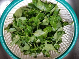 枸杞叶豆腐汤的做法步骤：2