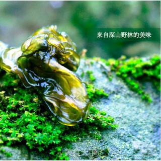 地皮菜茄子打卤面的做法步骤：2