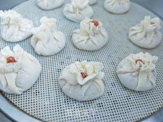 牛肉烧麦的做法步骤：12