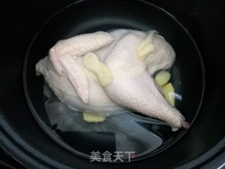 简易酸菜鸡的做法步骤：2