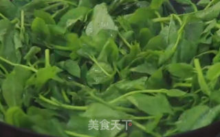 炒木耳菜的做法步骤：5
