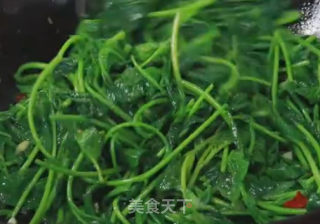 炒木耳菜的做法步骤：6