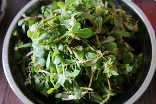 麻辣马齿苋的做法步骤：1