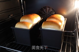 波兰种低糖原味吐司的做法步骤：13