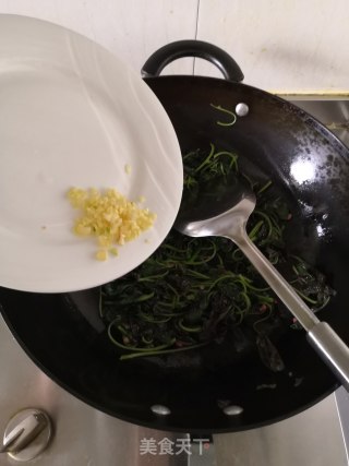 蒜香苋菜的做法步骤：10
