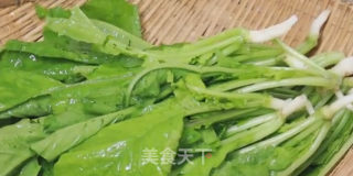 凉拌萝卜菜的做法步骤：3