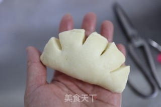 波兰种肉松小面包的做法步骤：13