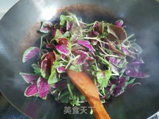 蒜香苋菜的做法步骤：2