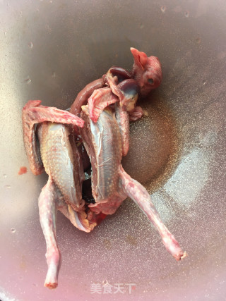 土豆炖鸽子的做法步骤：1