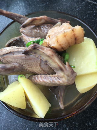 土豆炖鸽子的做法步骤：12