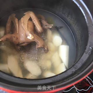 天麻淮山炖鸽子的做法步骤：8