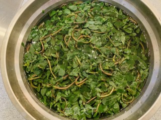 火麻油蒜蓉马齿苋的做法步骤：3