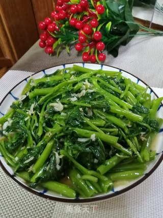 虾皮炒空心菜的做法步骤：8