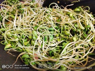 培根炒豆芽的做法步骤：3
