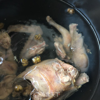 石斛毛豆鸽子汤的做法步骤：9
