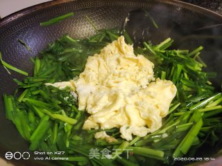 韭菜炒鸡蛋的做法步骤：8