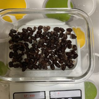 牛奶蜜豆糕的做法步骤：1