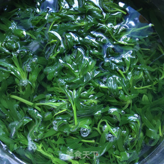 油泼扫帚菜芽的做法步骤：3