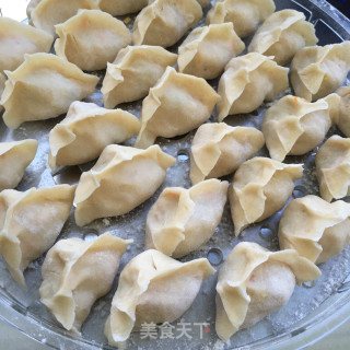 笋瓜鸡蛋素水饺的做法步骤：9
