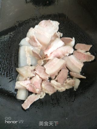 麻辣回锅肉的做法步骤：4