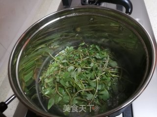 拌马齿苋的做法步骤：2