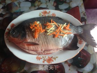 清蒸红鲳鱼的做法步骤：6