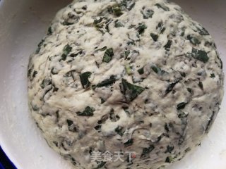 红薯叶发面馍的做法步骤：8