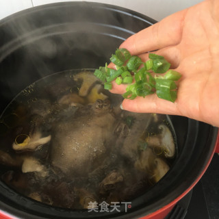 香菇炖鸽子的做法步骤：11