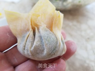 韭菜猪肉馄饨面的做法步骤：5