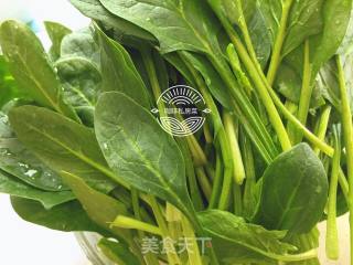 凉拌金针菇菠菜的做法步骤：4