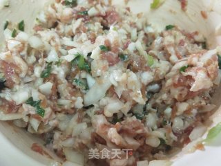 猪肉圆葱馅饺子的做法步骤：3