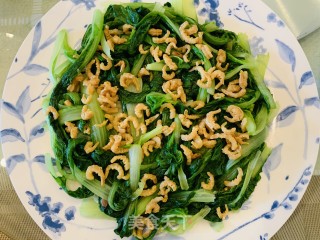 火麻油虾仁嫩白菜的做法步骤：6